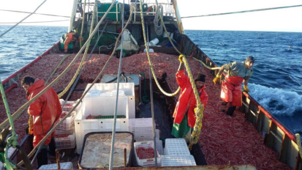 PESCA-e1703017002904
