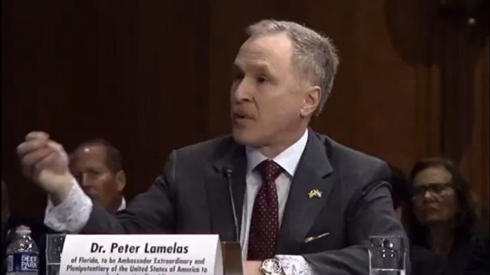 Peter-Lamelas-696x391