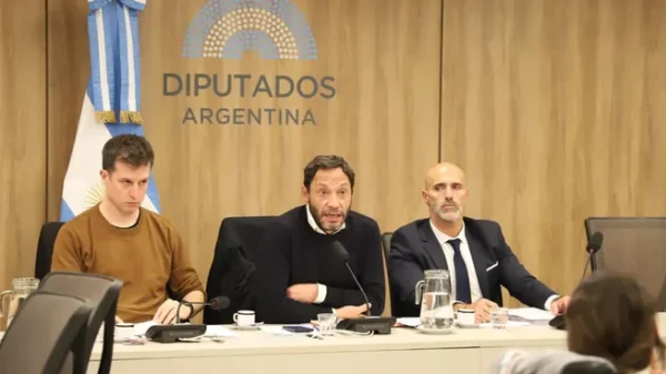 maximiliano-ferraro-comision-libra-diputados
