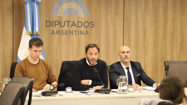 maximiliano-ferraro-comision-libra-diputados