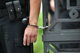 descarga - 2026-02-04T144259.901