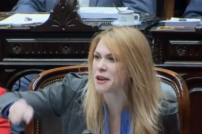 Lilia-Lemoine-sesion-02-02-24-ley-omnibus