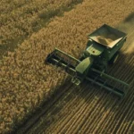 LA ECONOMÍA REAL EN EL BANQUILO: EL INDEC LE PONE NÚMEROS AL DESPLOME DEL PBI