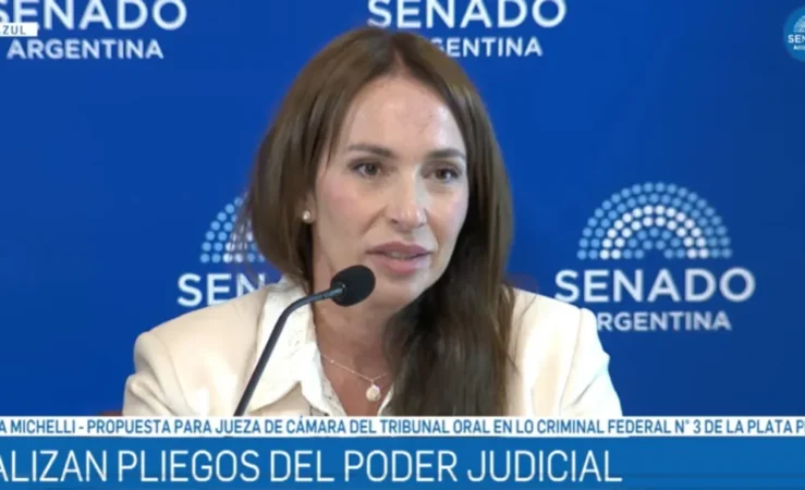 el-gobierno-retiro-el-pliego-maria-veronica-michelli