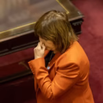 SENADO: EL GOBIERNO RETIRÓ DE LA LEY EL CAPÍTULO MÁS CONFLICTIVO PARA EVITAR UNA DERROTA EN EL RECINTO