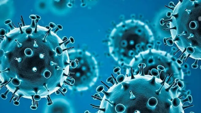 influenza-virusjpg