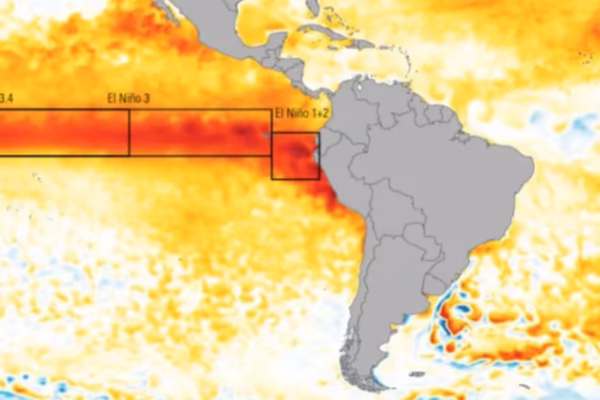 la-cepal-emitio-un-informe-acerca-del-impacto-que-ZOPXREEUXNGWLPHAKA2FKW5AHA